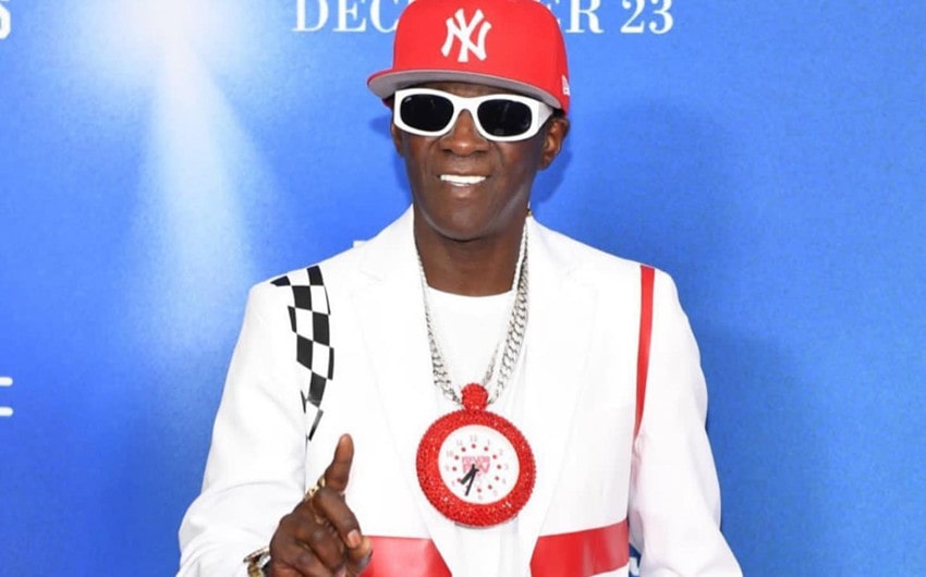 Flava Flav’s Wealth