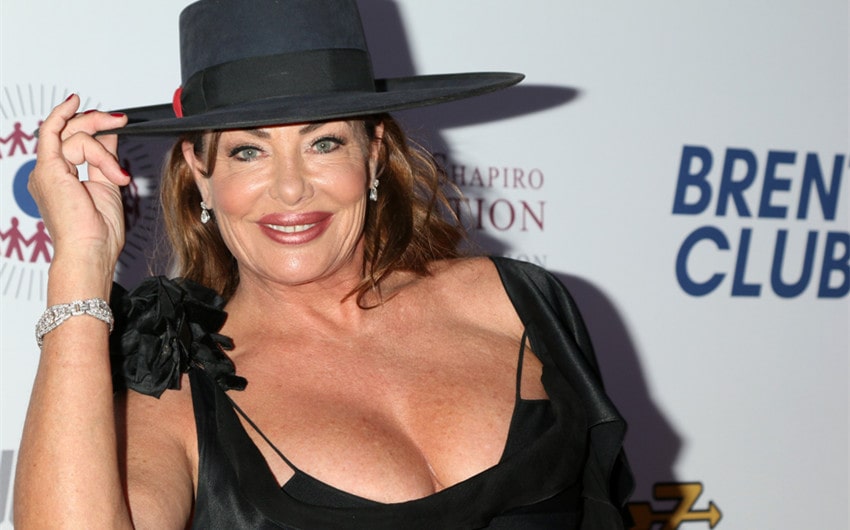 what is kelly lebrock net worth