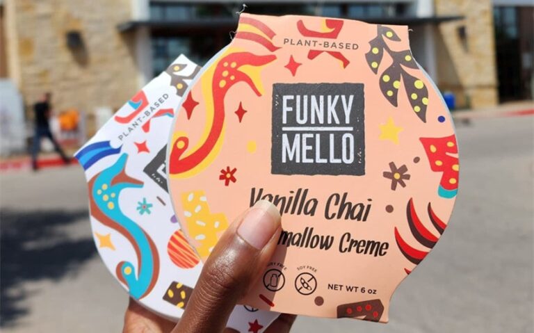 funky mello net worth