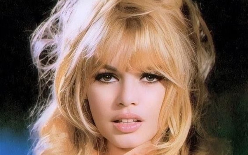 pamela bardot net worth